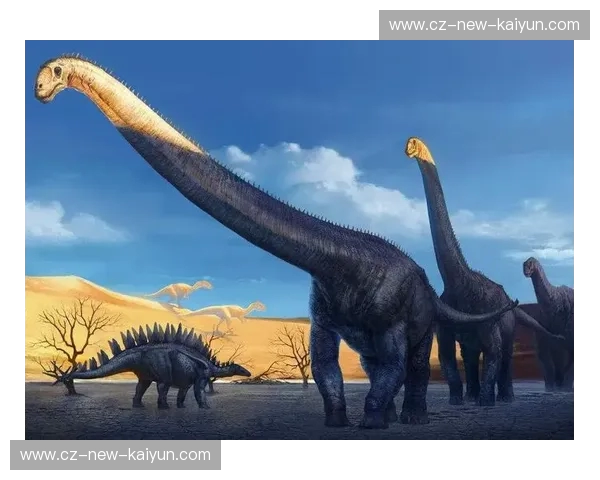 亚洲巨龙与三狮军团的巅峰对决：韩国vs英格兰直播，一场不容错过的足球盛宴！