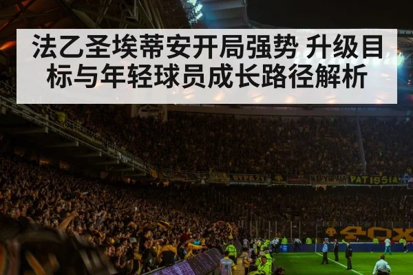 football stadium crowd atmosphere